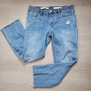 Anthropologie Pilcro and the Letterpress Hyphen Relaxed Boyfriend Jeans Size 27